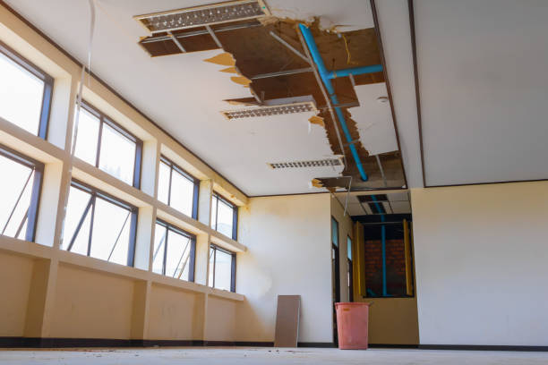 Water damage restoration mold remediation in ID