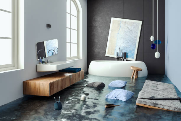 Trusted ID Water damage restoration Experts