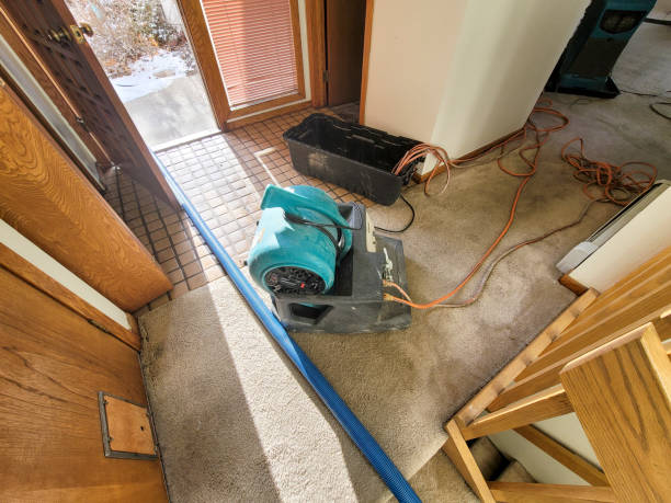 Best Water damage restoration near me  in Kootenai, ID