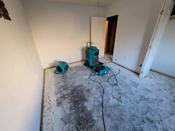 Best Water damage restoration experts  in Kootenai, ID