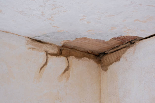 Best Flooded house restoration  in Kootenai, ID
