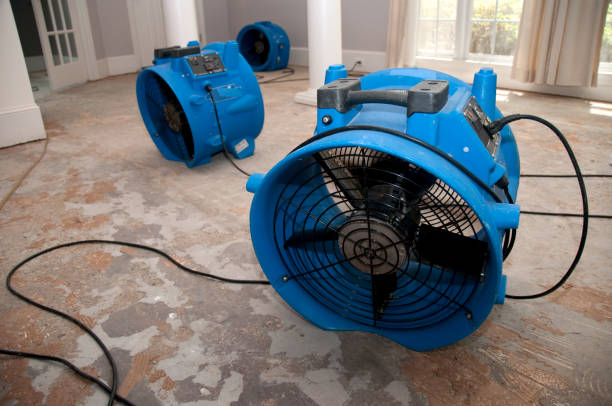 Best Water damage restoration company  in Kootenai, ID
