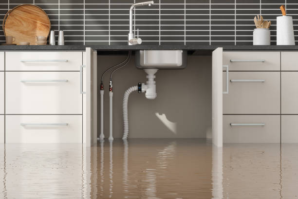 Best Carpet water damage restoration  in Kootenai, ID