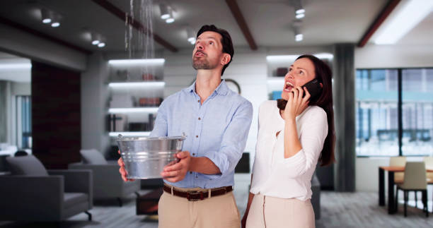 Best Professional water damage repair  in Kootenai, ID